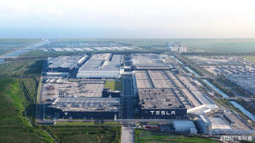 特斯拉逆势涨价 与行业降价潮分道扬镳的深层逻辑